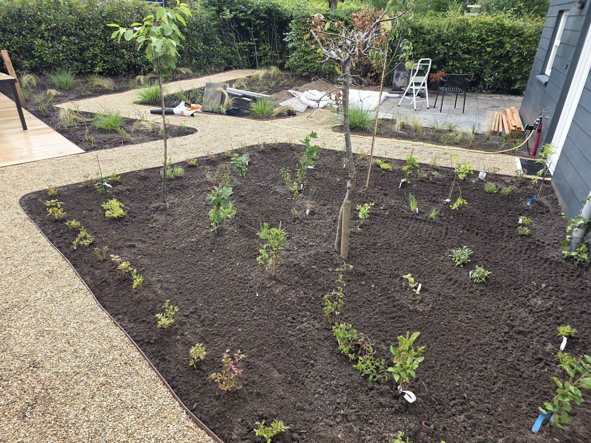 Nieuw plantbed met jonge beplanting