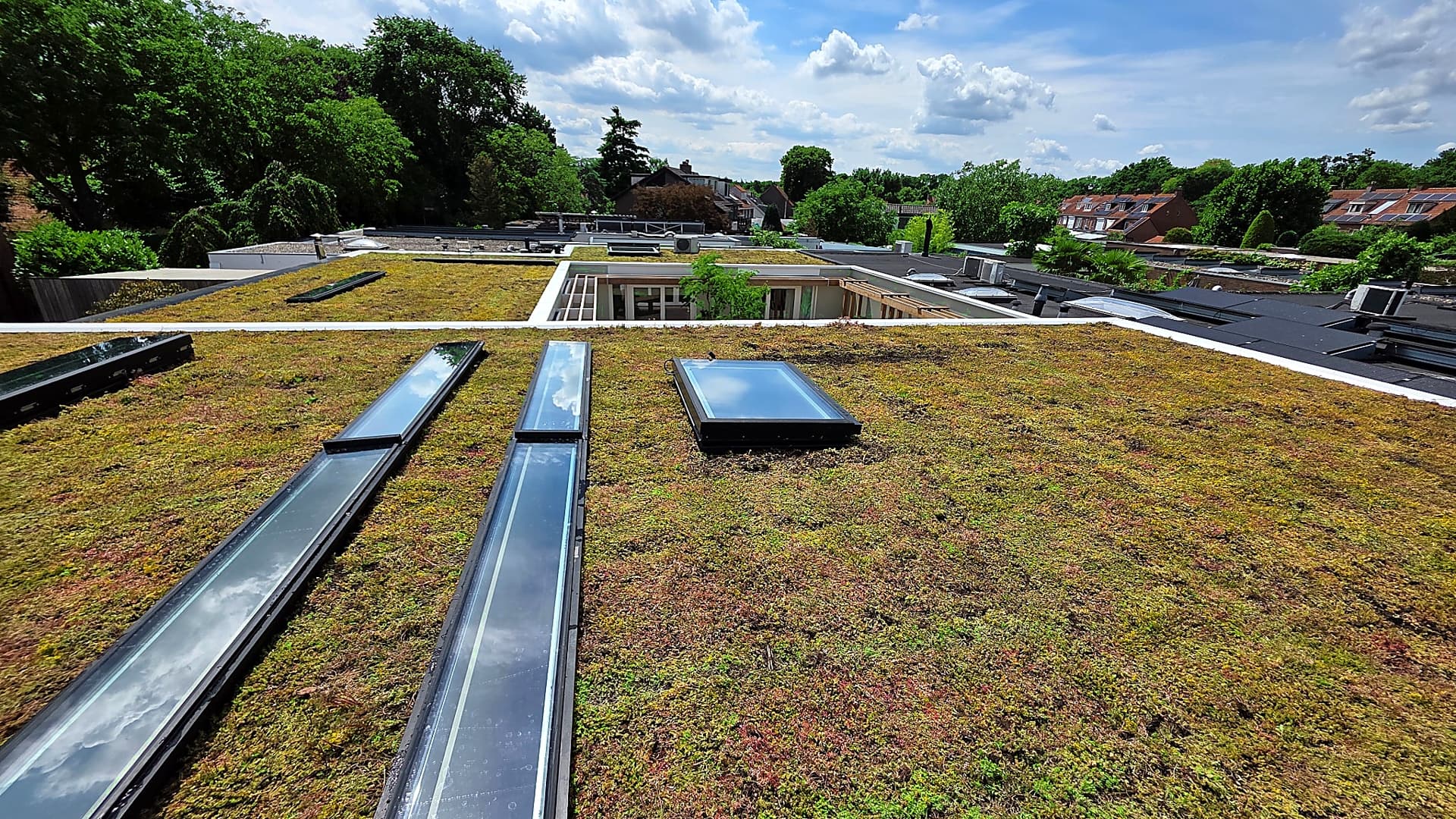 Groot sedumdak met dakramen en panoramisch uitzicht