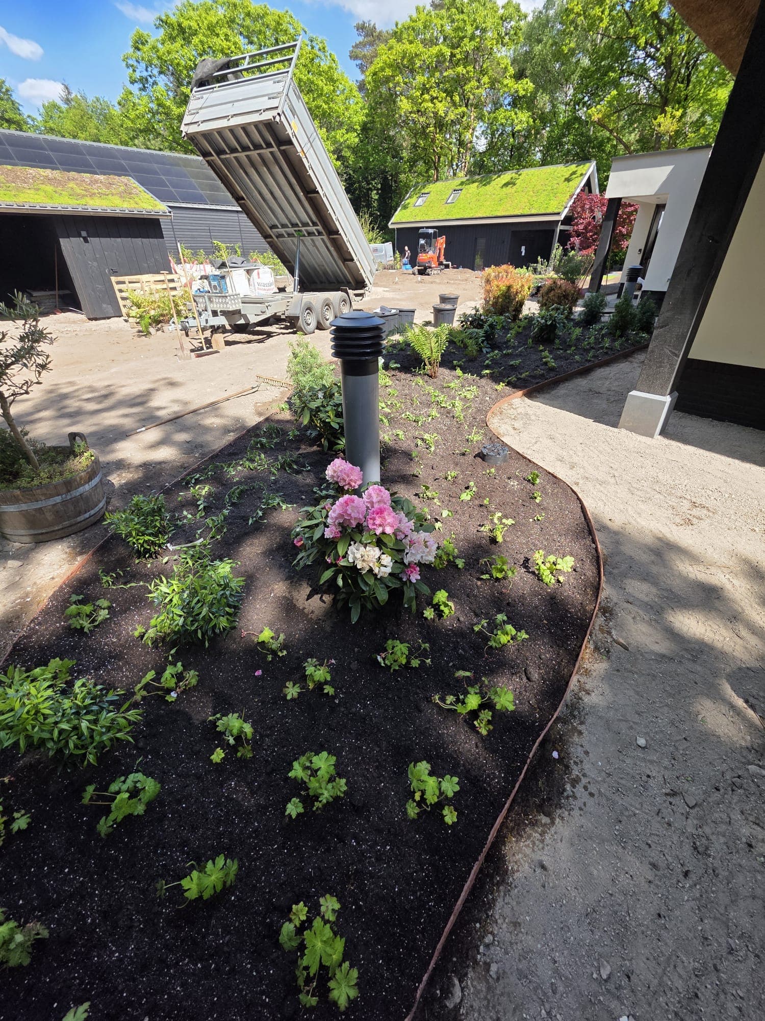 Tuinaanleg met beplanting, tuinverlichting en groendak op schuur